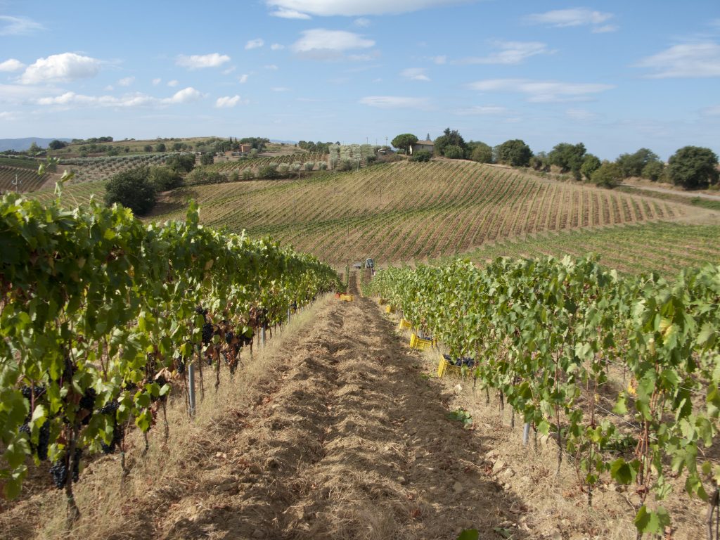 Episode 2 season 1 The Winery